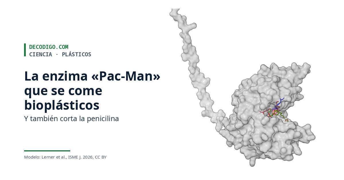 Modelo de la enzima LCPH1, la enzima «Pac-Man» que degrada bioplásticos y también corta la penicilina