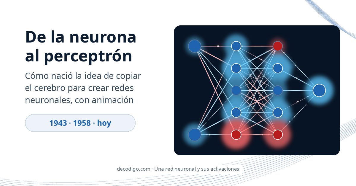 De la neurona al perceptrón: cómo nació la idea de copiar el cerebro para crear redes neuronales, con animación